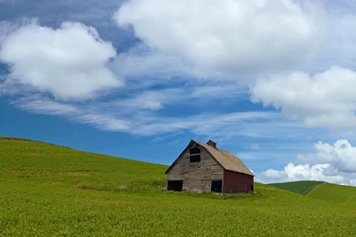 Super HD Wallpaper: Palouse Barn