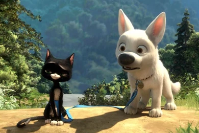 Bolt Wallpapers   Crazy Frankenstein