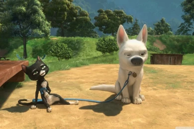 Mittens And Bolt HD Desktop Wallpapers : Widescreen : High ...