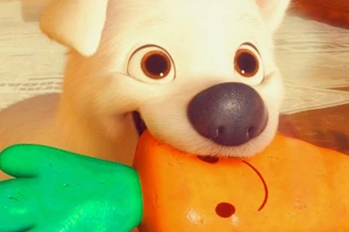 Which Disney Dog Are You?