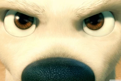 Bolt Close Up HD Desktop Wallpapers : Widescreen : High Definition ...