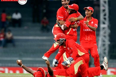 Wallpapers Direct Usa