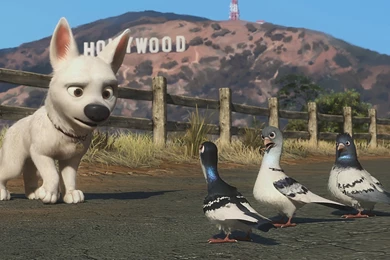 Bolt Looking Unsure   Disney's Bolt Photo (33118570)   Fanpop