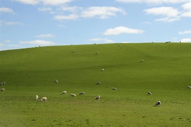 Hd Free Desktop Background: Microsoft Desktop Backgrounds