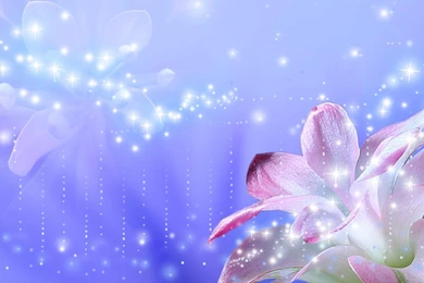 FLOWER SO FAIR WALLPAPER   (