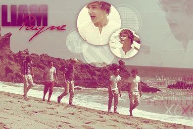 1D What Makes You Beautiful Collection: Liam Payne