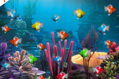Anipet aquarium live wallpaper 5 9560 HD Wallpapers