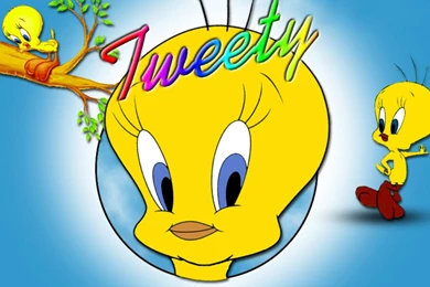 Justpict.com Tweety Bird Wallpapers Hd