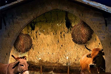 Christmas Nativity Backgrounds   Small