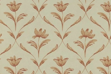 Flower Trellis Light Terracotta Wallpapers By Zoffany