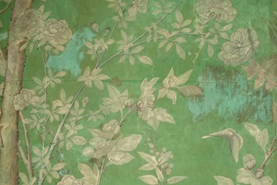 A Room Full Of Birds : Eighteenth Century Wallpapers