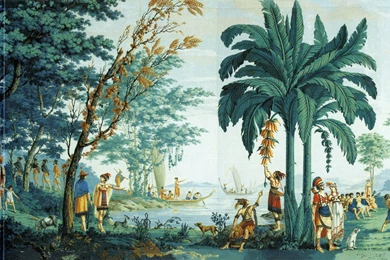 Images Of Pacific Peoples In 18th Century Books, Prints And ...