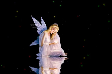 Fairy Animated Wallpapers Download