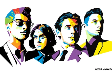 22 Arctic Monkeys HD Wallpapers