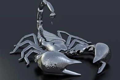 Scorpions 3D Live Wallpapers Download   Scorpions 3D Live Wallpapers ...