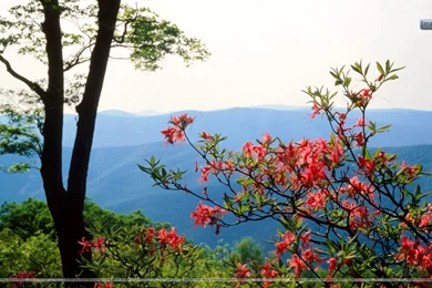 Blue Ridge Mountains North Carolina Wallpapers