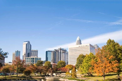 Geoff Campbell Realty (704) 554 1920