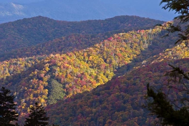 Fall Colors Of North Carolina Ridges From Newfound Gap HD Desktop ...