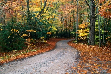 Cataloochee Cove Great Smoky Mountains National Park North Carolina.jpg