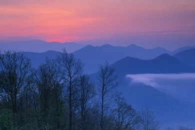 Forest Joyce North Carolina Wallpapers