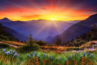 Amazing Hills Wallpapers