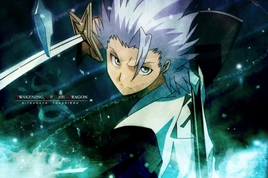 Free HD PC Wallaper Download : Bleach 06