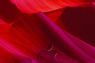 Magenta Wallpapers   iPhone By SwrannN On DeviantArt