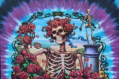 Grateful Dead Tickets For Soldier Field Gigs Continue To Fall In ...