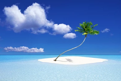 A Palm Tree Island Wallpapers