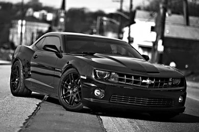 Camaro SS Chevrolet Camaro SS Black Cars Grayscale Wallpapers ...