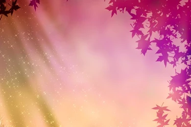 Free Stock Photos   Rgbstock  Free Stock Images