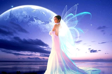 Trololo Blogg: Fairy Wallpapers