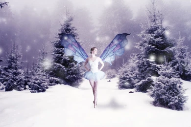Fairy Desktop Wallpapers 8662   HD Wallpapers Site