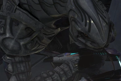 Arbiter Wallpapers 3 By DraconicArmagon On DeviantArt