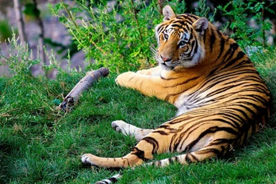 High Resolution Wallpapers 23 Best Wallpapers Collection