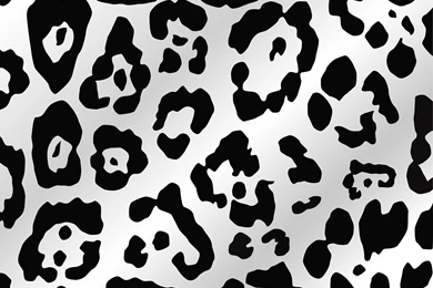 Animal Print Desktop Backgrounds   Wallpapers Cave