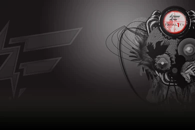 Usage Statistics For Fatal1ty.com   April 2013