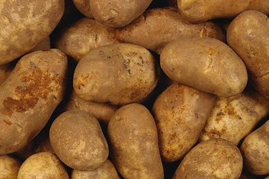 Download Wallpapers 1280x1024 Potato, Root Crop, Crude 1280x1024 HD ...