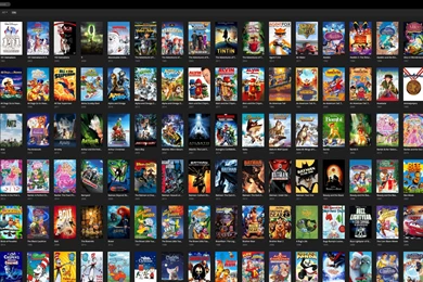 Plexplay Private Plex Server Access