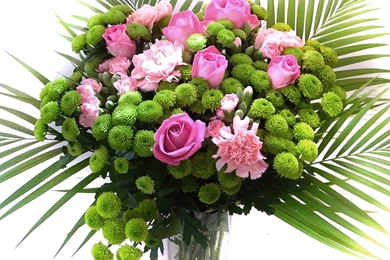 Flower Basket Images And Wallpapers Download