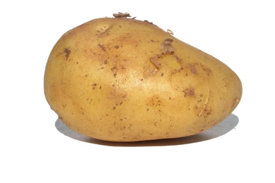 The Long Day (and Night) Of The Potato – Simcoe Organics