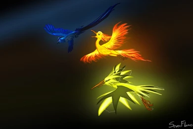 Mythical Birds Wallpapers   678266