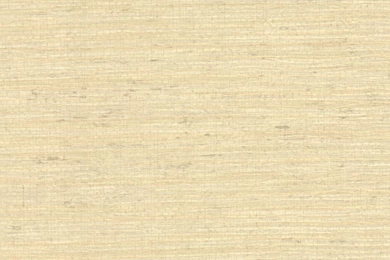 Brewster Home Fashions Cortina III Allen Scrubbable And Strippable ...