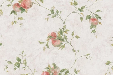 Brewster Home Fashions Taupe Fruit Vine Wallpapers   15478685 ...