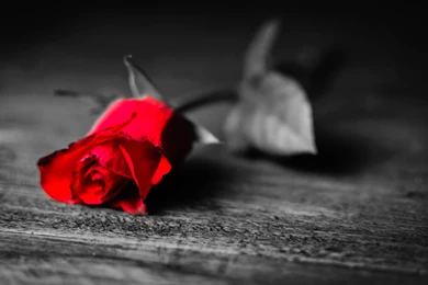 The Power Of Love 1920×1200