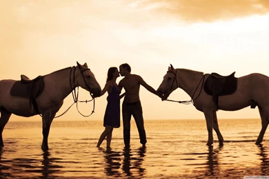 Happy Valentines Day My Love HD Desktop Wallpapers : Widescreen ...