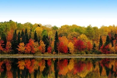 Anyone Know Where I Can Get The LG Optimus G Wallpaper?   Android ...