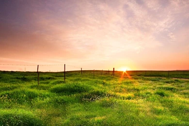 13 Irresistible LG Optimus 4X Full Resolution HD Wallpapers