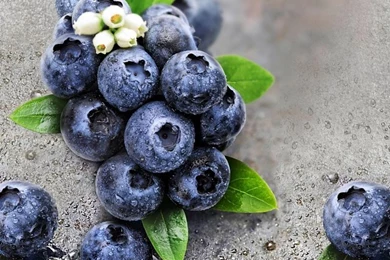 Q] I Want To Get Blueberries Wallpapers Of O…
