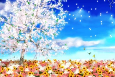 Category: Season Archives   Wallsteyn.com›› Page 0